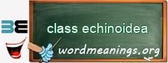 WordMeaning blackboard for class echinoidea